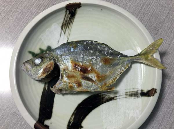 カイワリの塩焼き