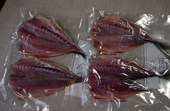 アジの一夜干し