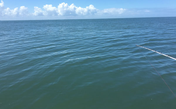 利根川からの大雨の汚れの色