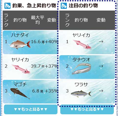 注目度ランキングに切り替え
