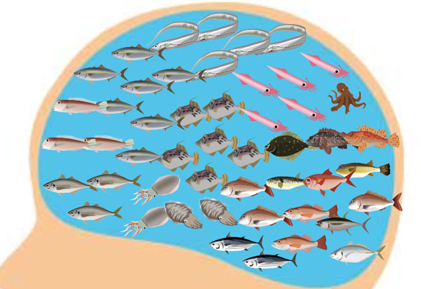 釣り人の脳の中
