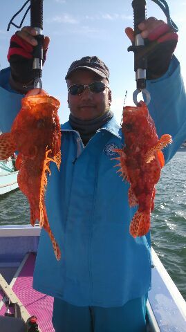 小さく見えるが1.5kgあります