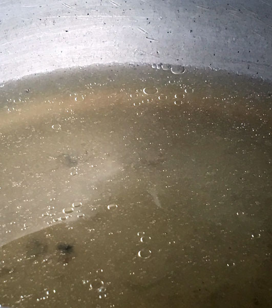 コアラでこの脂が出ます