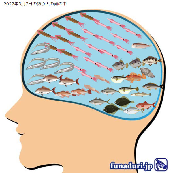 釣り人の脳内
