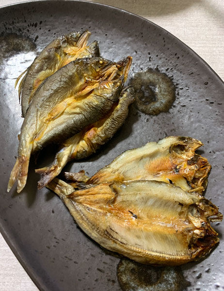 初物アユ