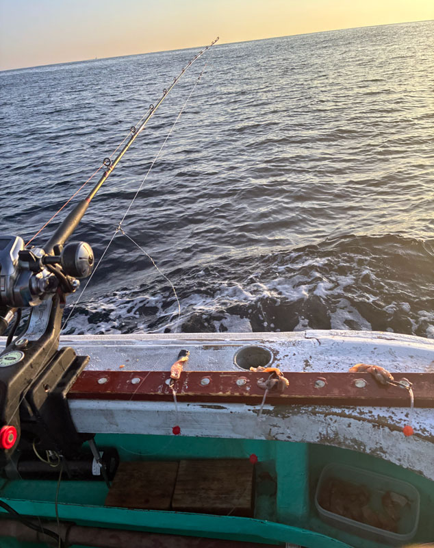 本日のタックルセットアップ