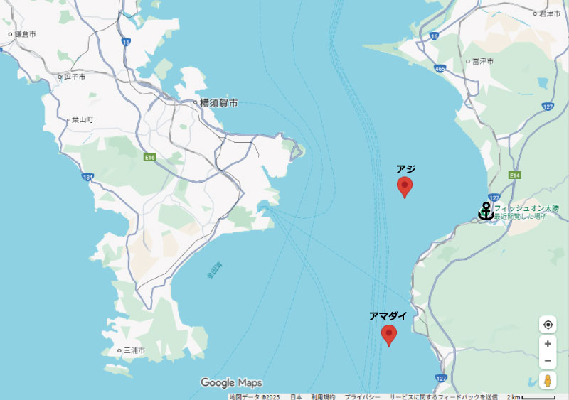 アジアマダイポイント