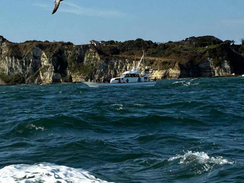 他の船もお客多し