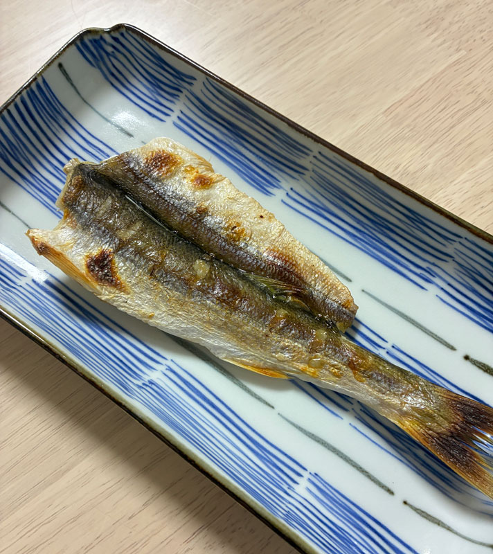 アカカマスの干物