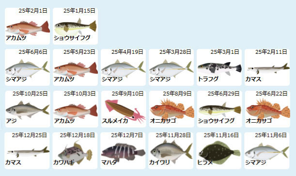 2025年釣行一覧
