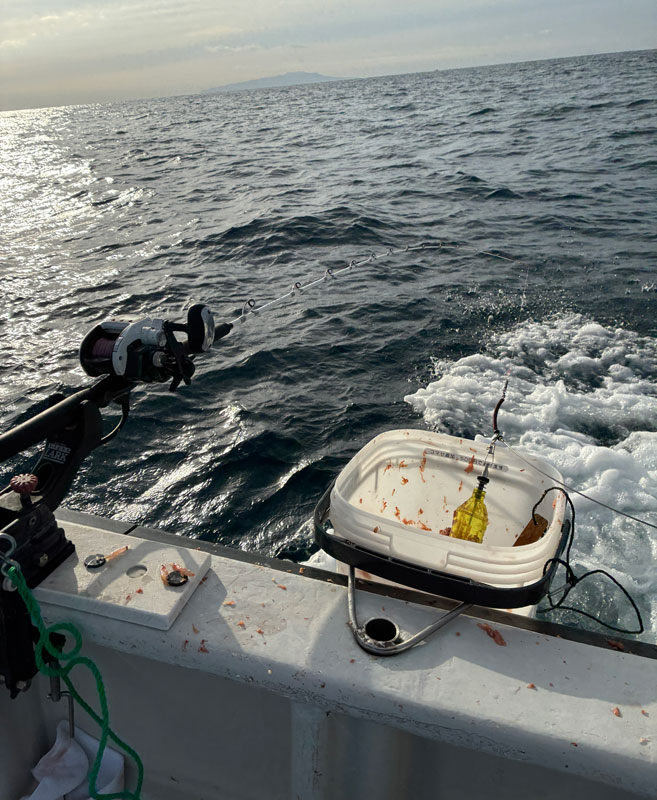 本日のセットアップ