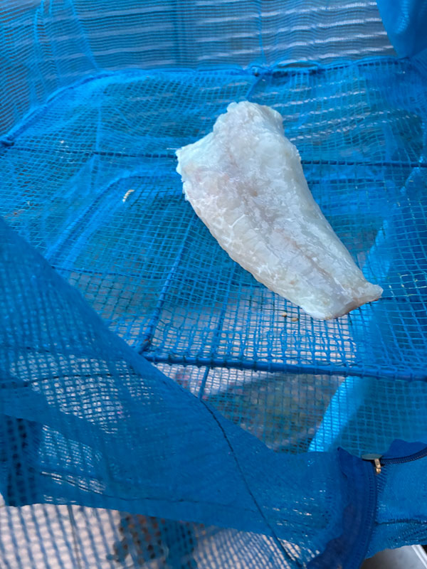 アマダイの干物