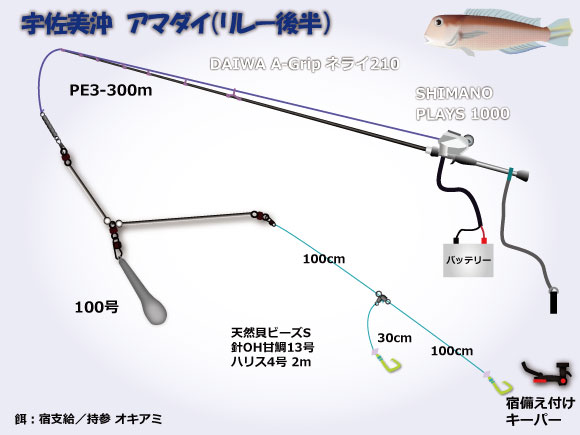 宇佐美沖アマダイ 仕掛け・タックル図 宇佐美沖アマダイ 仕掛け・タックル図