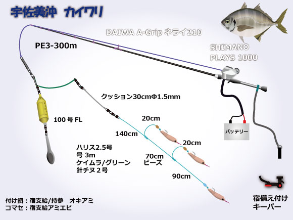 宇佐美沖 カイワリ仕掛け・タックル図 宇佐美沖 カイワリ仕掛け・タックル図