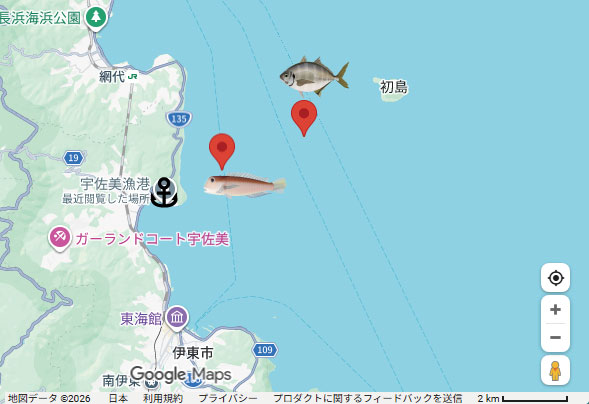 本日のポイント