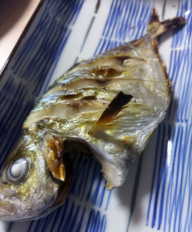 夫婦不在カイワリの塩焼き