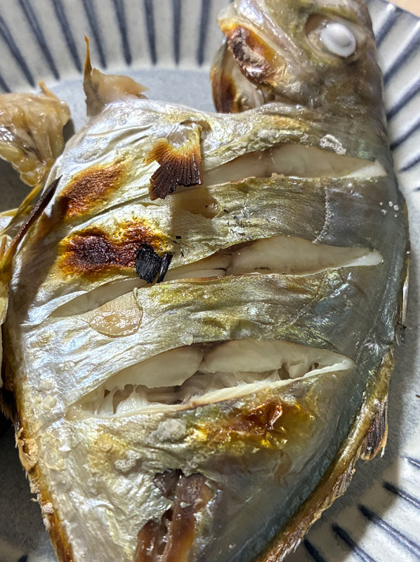 ご夫婦在宅カイワリの塩焼き