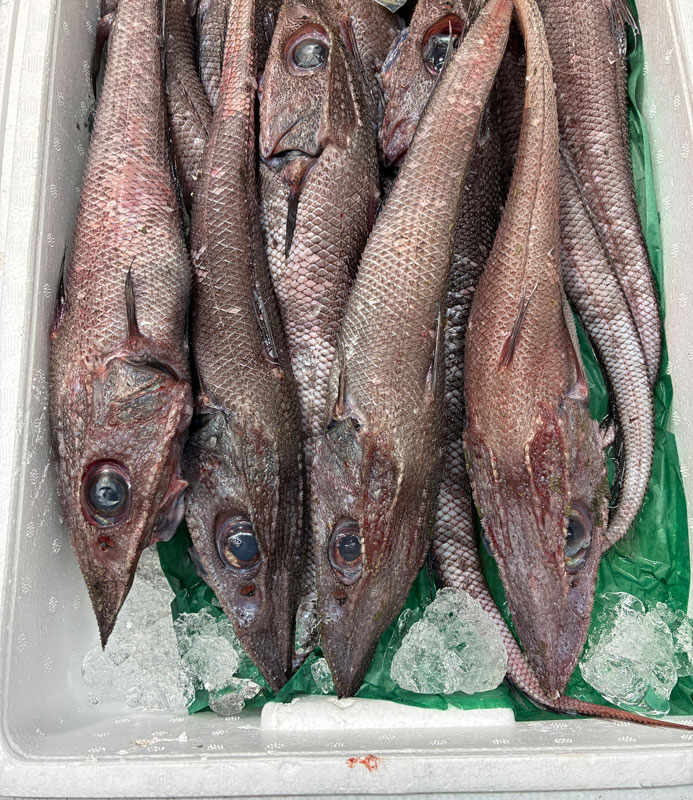 オニヒゲ