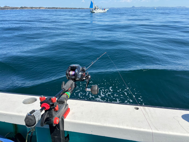 本日のセットアップ