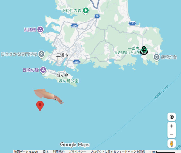 マルイカポイント