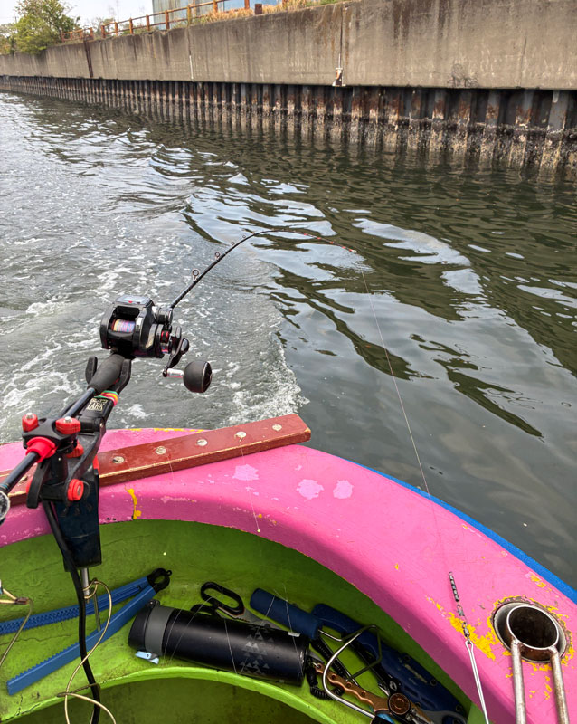 今日のセットアップ