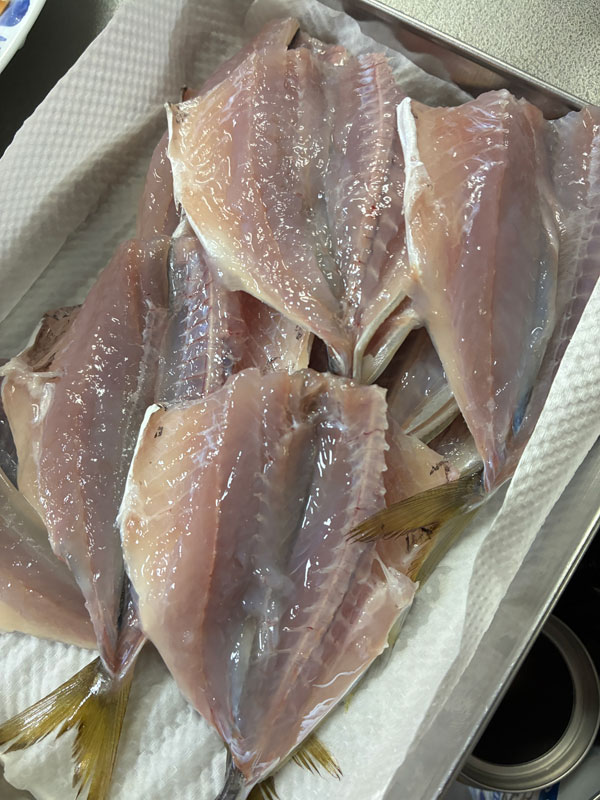 アジの干物