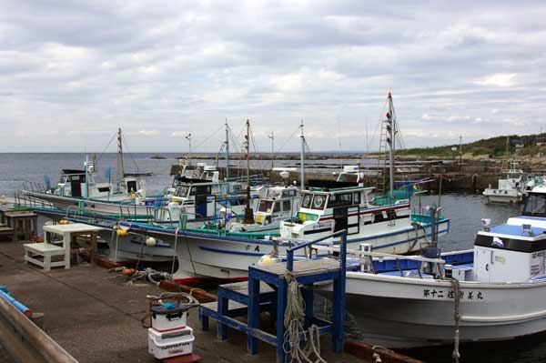 スノサキ・ニシカワナ 港周辺の写真